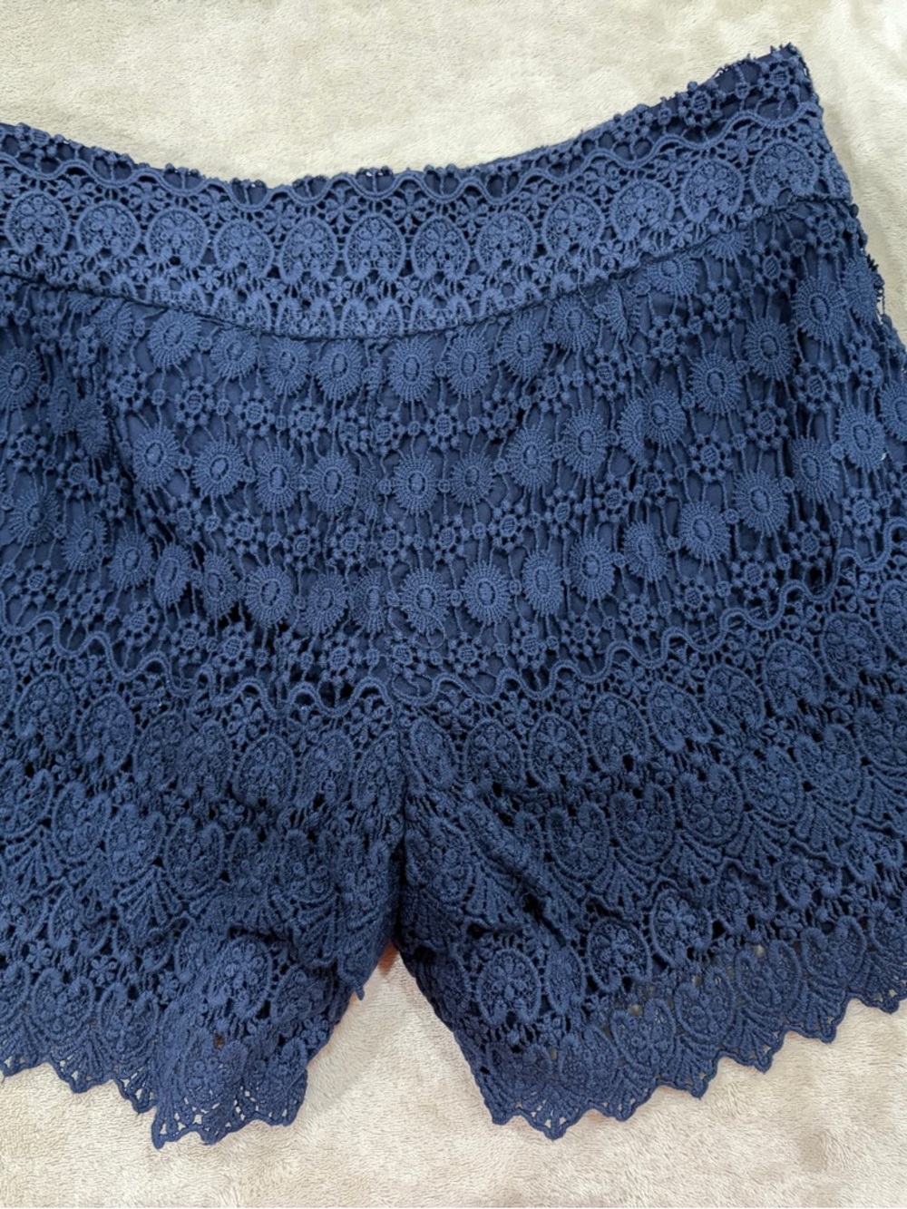 Ann Taylor LOFT Navy Floral Crochet Lace Shorts size 0